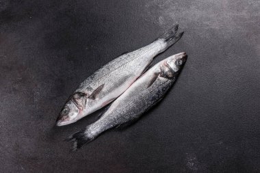 Taze balık deniz kabuğu ve yemek pişirmek için malzemeler. Koyu bir masada baharat ve bitkilerle çiğ balık deniz kabuğu.