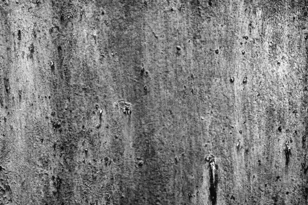 Grunge Black White Distress Texture Background Design Vintage Tone — Stock Photo, Image