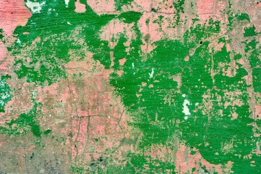 Parlak yeşil arka plan. Beton dokusu yeşil.