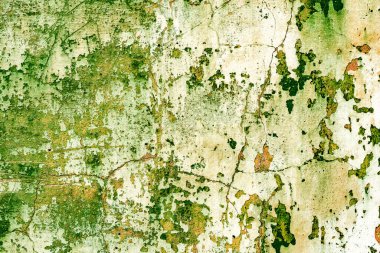 Parlak yeşil arka plan. Beton dokusu yeşil.