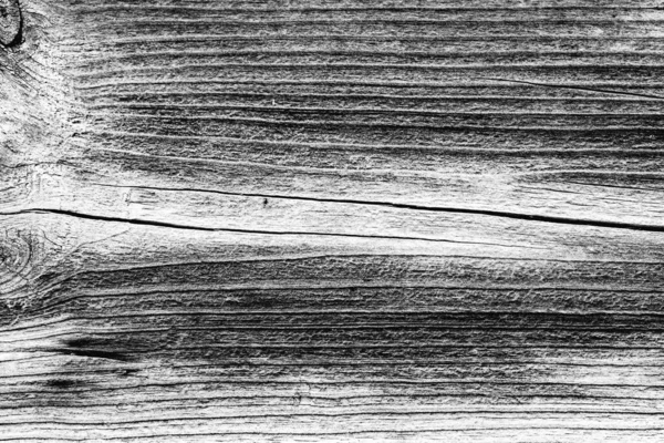 Textura Madeira Parede Pode Ser Usado Como Fundo Textura Madeira — Fotografia de Stock
