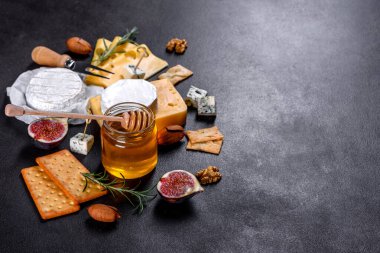 Güzel, lezzetli peynirli, parmesanlı, üzümlü ve incirli peynir. Tatilde şarap için atıştırmalıklar