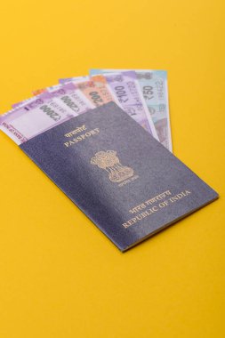 Seyahat etmek, uçmak ve iş yapmak için Hindistan pasaportu. Hindistan belgesi, sınırı geçmek için kimlik