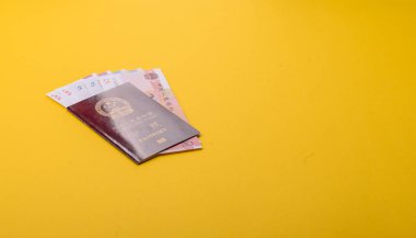 Çin Vatandaş Pasaportu, Küresel iş, göç veya seyahat için Çin belgesi