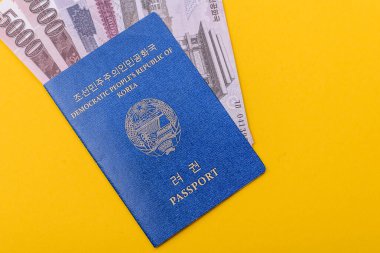 Kuzey Kore Uluslararası Küresel İş, Göç ve Seyahat Pasaportu