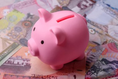 Bahçe kağıdı parası, para birimi olarak dinar banknotları takas ya da seyahat için. Bahreyn parası bir iş geçmişi olarak