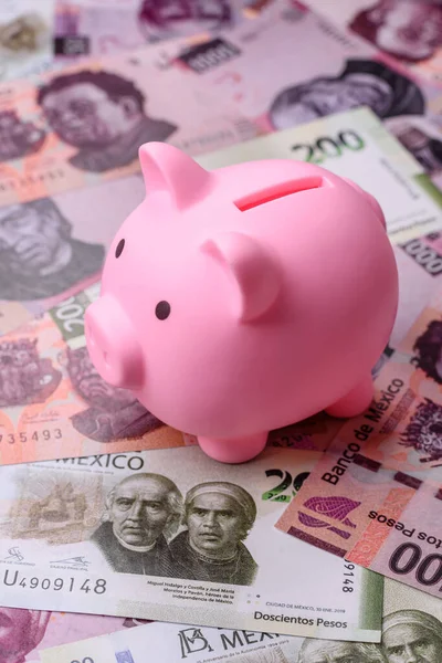 Meksika kağıt parası, çeşitli değerlerde pesolar. Tasarımın için Meksika parası bir iş geçmişi