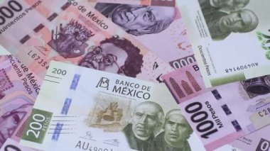 Meksika kağıt parası, çeşitli değerlerde pesolar. Tasarımın için Meksika parası bir iş geçmişi