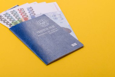 Seyahat etmek, uçmak ve iş yapmak için Kore pasaportu. Güney Kore belgesi, sınırı geçmek için kimlik