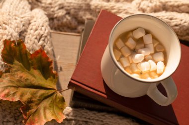 Bir fincan kahve, şekerleme ve pencereye kitap. Sonbahar sarı yaprakları ve bej örülmüş battaniye. Yukarıdan görünüşü