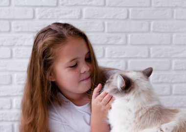 Küçük bir kız bir kediyle iletişim kuruyor. Birbirlerinin gözlerinin içine bakarlar. Bir çocukla evcil hayvan arasındaki arkadaşlık..