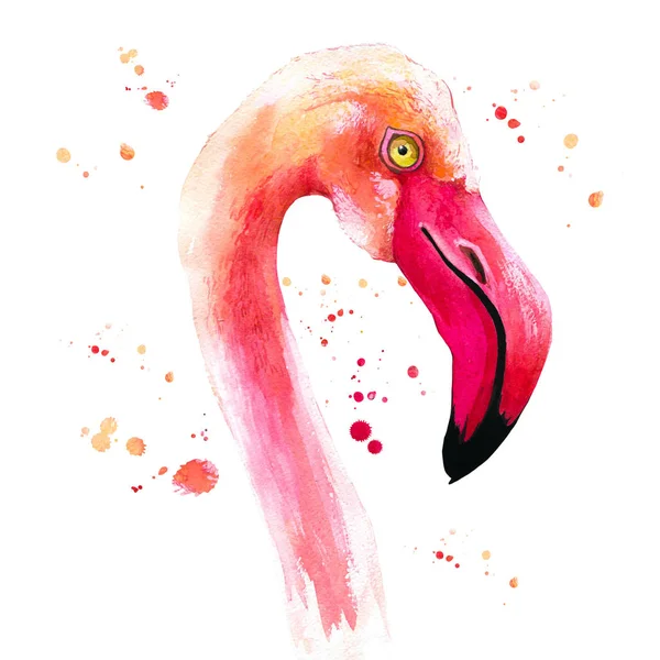 Suluboya resim pembe flamingo ile. Tropik kuş. Cennet. — Stok fotoğraf