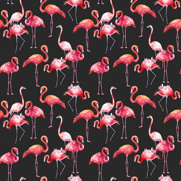 검은 배경에 수채화 완벽 한 패턴입니다. 핑크 플라밍고와 그림입니다. 열 대 새입니다. 파라다이스. — 스톡 사진