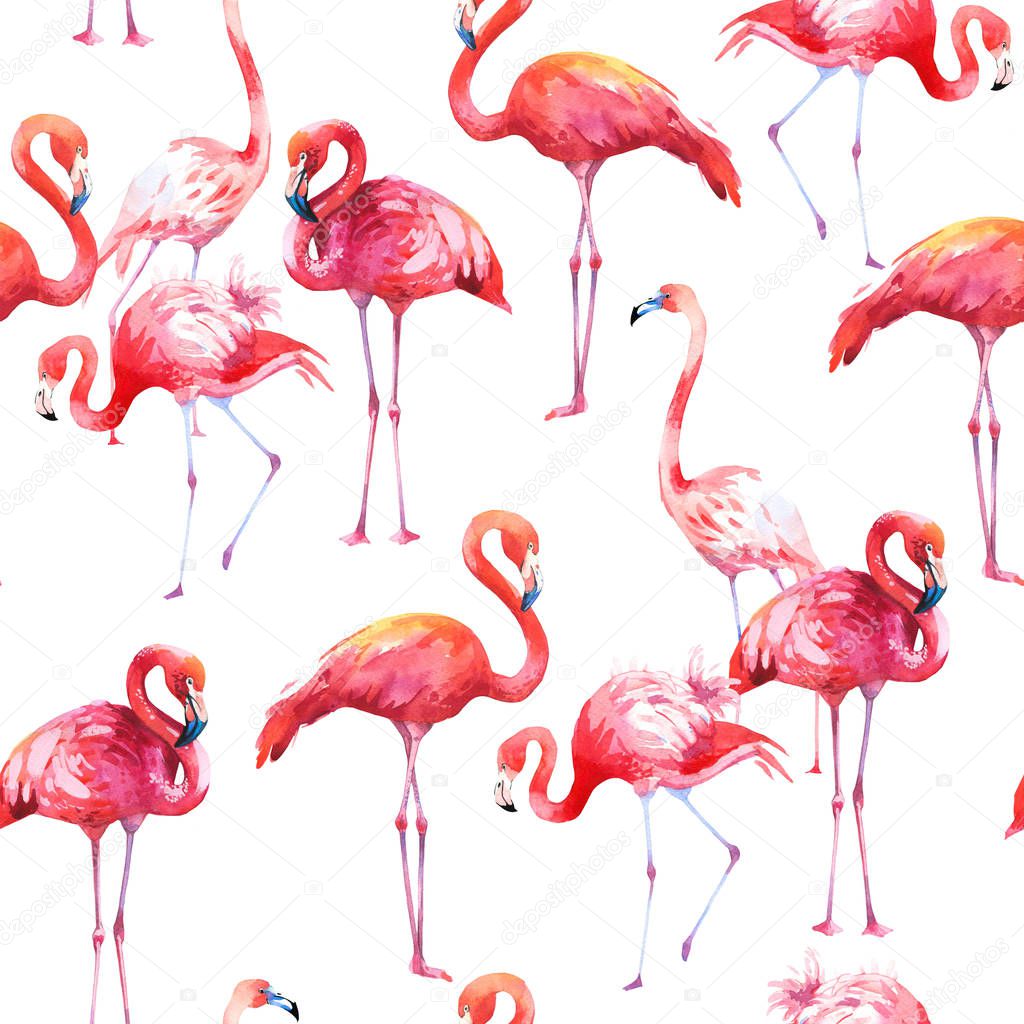 Watercolor seamless pattern on white background. Illustration with pink flamingo. Tropical bird. Paradise.