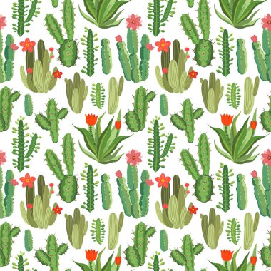 Botanik illüstrasyon Perulu kaktüs ile. Beyaz arka plan üzerinde vektör seamless modeli. Yaz bitkiler.