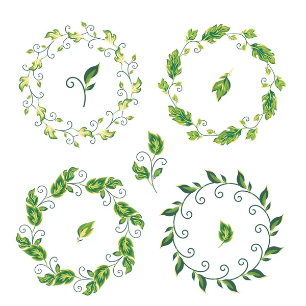 Wreath Leaves Flowers Vector Illustration White Background Floral Frame Hand — Stock Vector