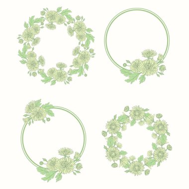 Çelenk krizantem kroki tarzı ile. Güzel çiçek dekorasyon. Çerçeve kümesi.