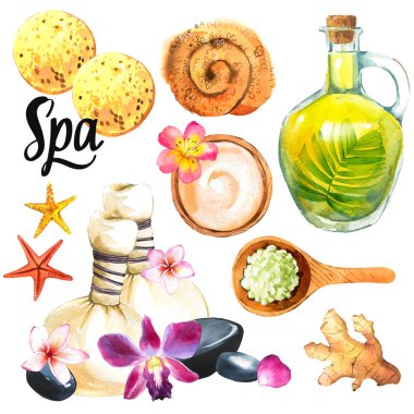 Vücut ve yüz için çeşitli Spa çizimler: havlu, yağı, çiçek, taşlar, Masaj çanta, orkide, plumeria, kaşık tuz, sünger, krem, losyon ile. Kozmetik kadın için. Salonda gevşeme