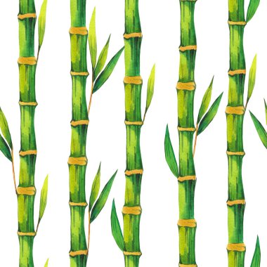Spa suluboya seamless modeli. İllüstrasyonlar bambu yaprakları ile şube. Doğa arka plan.