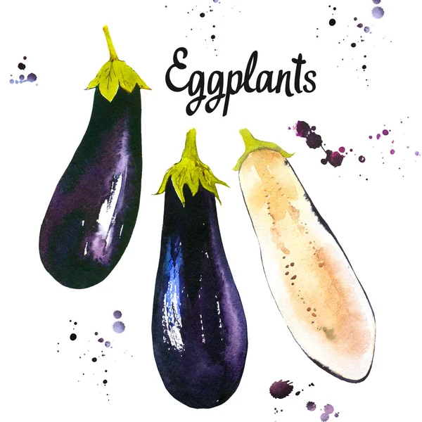 Legumes aquarela. Comida de quinta fresca. Conjunto de diferentes tipos de berinjelas. Um simples esboço de pintura. Conjunto violeta . — Fotografia de Stock