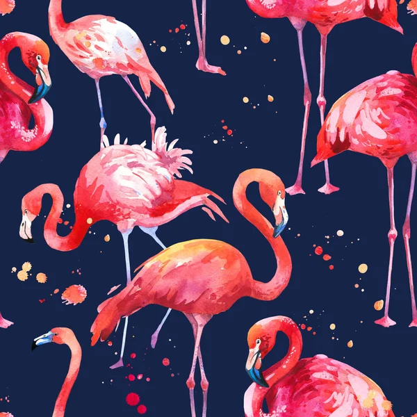 深蓝色背景上的水彩无缝图案。与粉红色的火烈鸟的插图。热带鸟类。天堂. — 图库照片