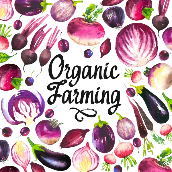 Watercolor illustration with round composition of farm products. Vegetables set: cabbage, eggplant, turnip, radish, carrot, onion. Fresh organic food. Violet. — Stock Photo, Image