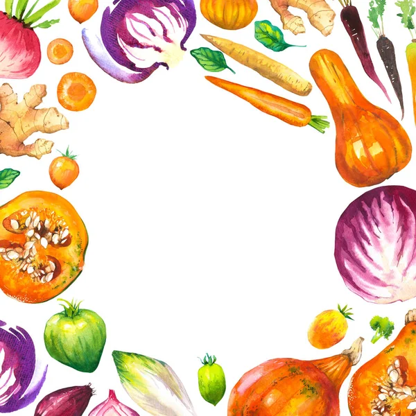 Ilustração aquarela com composição redonda de ilustrações agrícolas. Conjunto de legumes: abóbora, abobrinha, cebola, tomate, repolho, brócolis, beterraba, cenoura, gengibre, ameixa. Alimentos biológicos frescos . — Fotografia de Stock