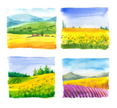Peyzaj ayçiçeği ve lavander alanları ile suluboya illüstrasyon seti. Doğa arka planı. Organik çiftlikler. Eko büyüyor. Tarım.
