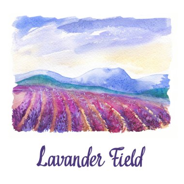 Lavander alanı peyzaj ile suluboya illüstrasyon. Doğa arka planı. Organik çiftlikler. Eko büyüyor. Tarım