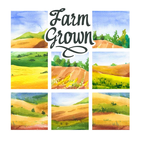 Set of watercolor illustration with landscape fields. Nature background. Organic farms. Eco growing. Agriculture. — Stock Photo, Image
