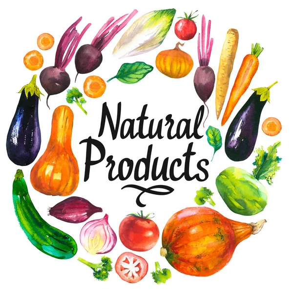 Aquarel illustratie met ronde samenstelling van landbouwproducten. Groenten set: aubergine, pompoen, courgette, ui, tomaat, broccoli, bieten, wortelen, kool koolrabi. Vers biologisch voedsel. — Stockfoto