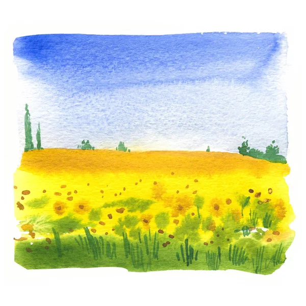 Акварельна ілюстрація з пейзажем соняшникового поля. Природний фон. Органічні ферми. Екологічне зростання. Сільське господарство . — стокове фото