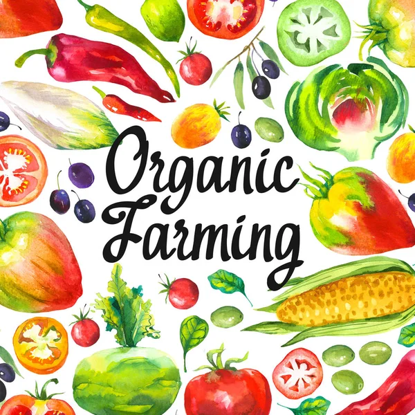 Aquarel illustratie met ronde samenstelling van boerderij illustraties. Set van groenten: artisjokken, tomaat, olijven, bloemkool, cichorei, maïs, tomaat, spinazie, paprika. Verse biologische voeding. — Stockfoto