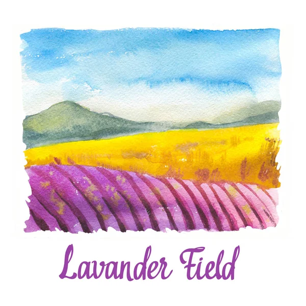 Aquarell-Illustration mit Landschaft des Lavendelfeldes. Natur-Hintergrund. Biohöfe. Öko-Anbau. Landwirtschaft — Stockfoto