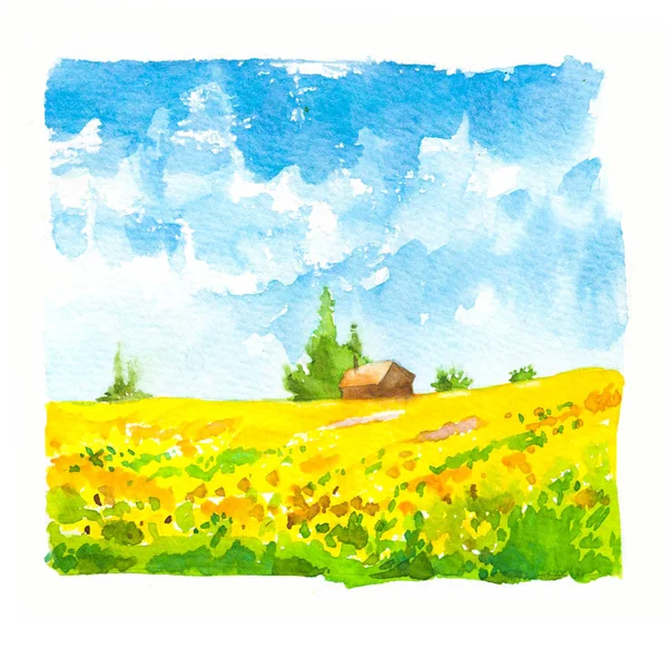 Акварельна ілюстрація з пейзажем соняшникового поля. Природний фон. Органічні ферми. Екологічне зростання. Сільське господарство . — стокове фото