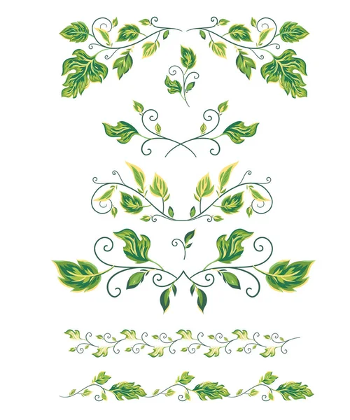 Foglie e fiori elementi di design per le vostre decorazioni.. Illustrazione vettoriale su sfondo bianco con cornice floreale . — Vettoriale Stock