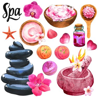 Çiçek, yağ, taşlar, plumeria, ölümlü, kaşık ve tuz, krem, losyon ile kase: Vücut ve yüz için çeşitli araçlar ile Spa çizimler. Kadın için kozmetik. Salonda dinlenme