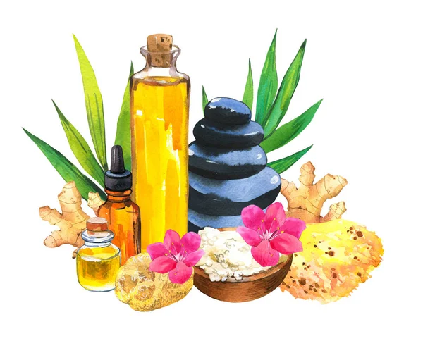 Çiçek, taşlar, yağ, sünger, tuz, orkide, yaprakları, losyon ile bambu dalı ile kase: Vücut ve yüz için çeşitli araçlar ile Spa suluboya çizimler. Kadın için kozmetik. Salonda dinlenme