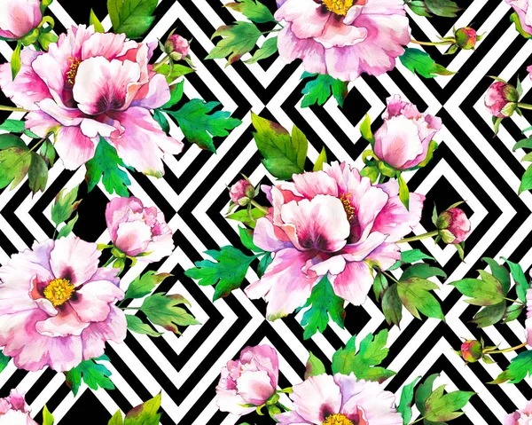 Bezproblémový vzor s akvarel. Překrásné ilustrace s rostlinami na černém a bílém geometrickém pozadí. Složení s peonies. — Stock fotografie