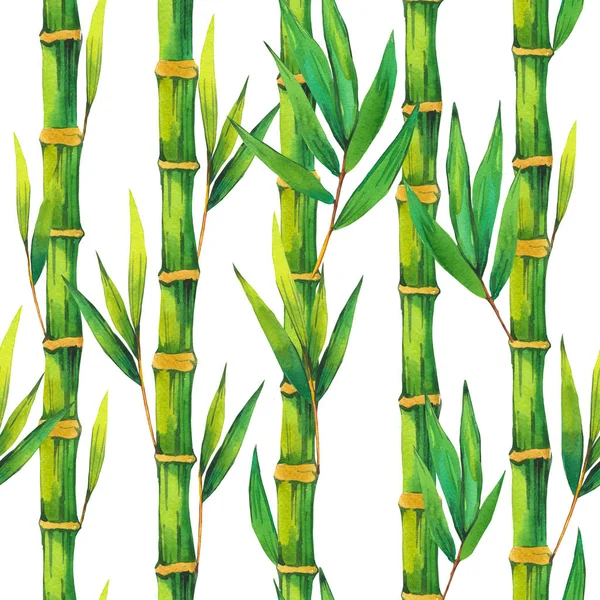 Bambusz Kövek Rajz