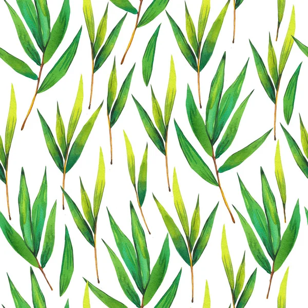 Warna air SPA pola mulus. Ilustrasi cabang bambu dengan daun. Latar belakang alam . — Stok Foto