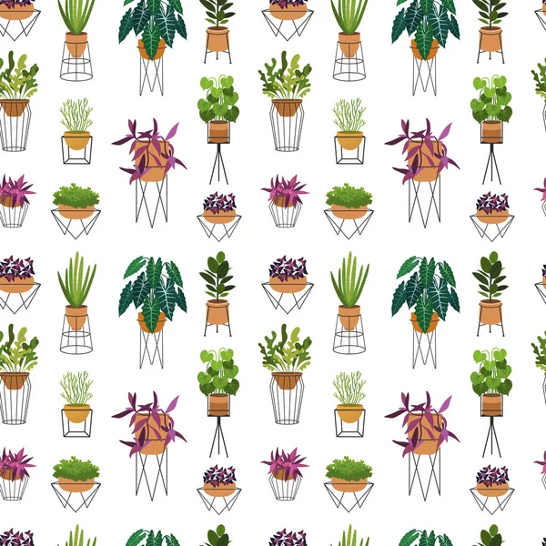 Krukväxter platta sömlösa mönster. Potted saftig och kaktus naturliga bakgrund. Sansevieria blad, dekorativa orm växt bladverk struktur. Botaniskt omslagspapper, tapet vektor design — Stock vektor