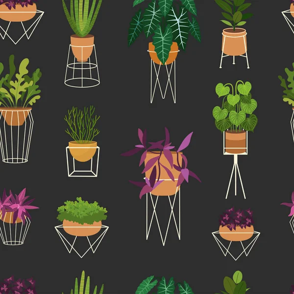 Plante de casă model plat fără sudură. Vase suculente și cactus fundal natural. Frunzele Sansevieria, textura decorativă a plantelor de șarpe frunziș. Hârtie de ambalare botanică, design vectorial tapet — Vector de stoc