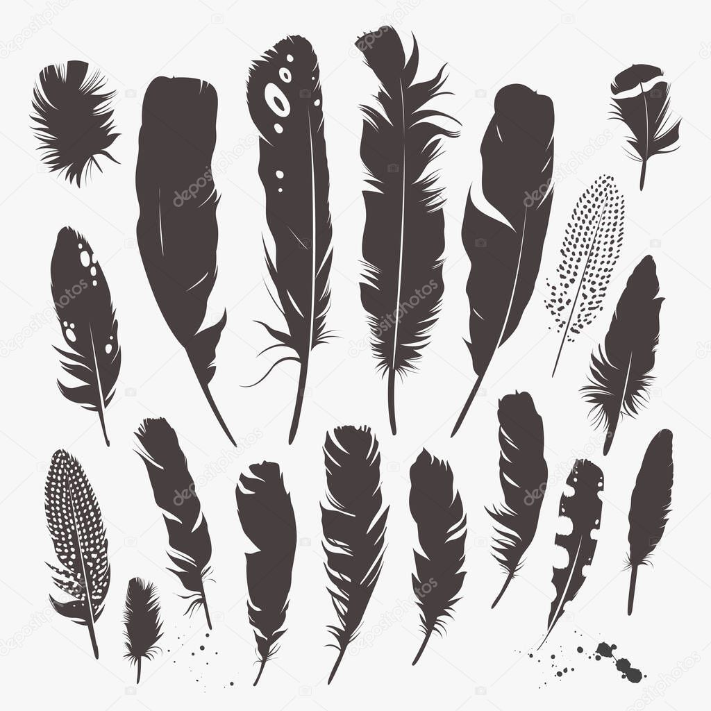 Vector set with feathers. Natural design. Boho style. Simple silhouettes. Black and white.