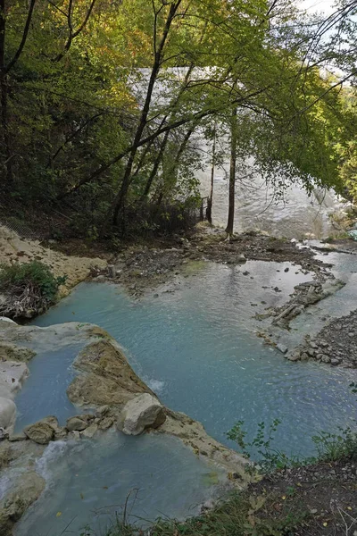 Rio Floresta — Fotografia de Stock