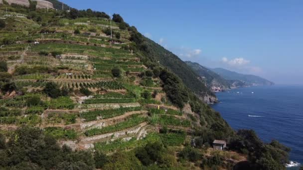 Passeggiata Dell Amore Monterosso Vernazza Cinque Terre Liguria — Stockvideo