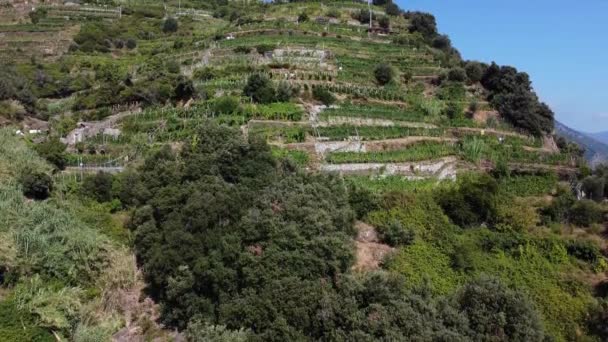 Passeggiata Dell Amore Monterosso Vernazza Liguria Cinque Terre — Video Stock