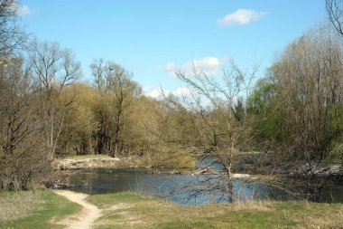Sonbaharda sığ bir gölün yüzeyinde güzel bir manzara.
