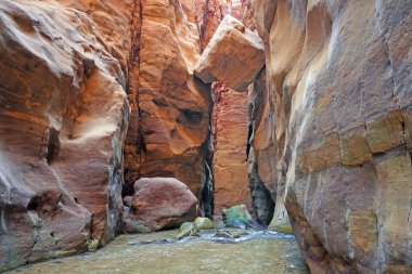 Utah 'taki Zion Ulusal Parkı Kanyonu manzarası