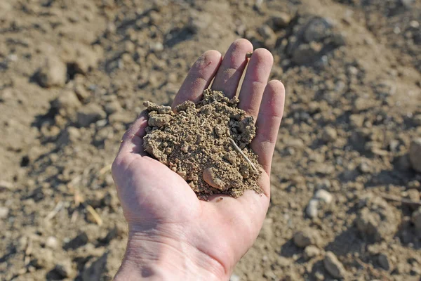 Mano Sosteniendo Tierra Campo Arado Luz Del Sol Brillante —  Fotos de Stock